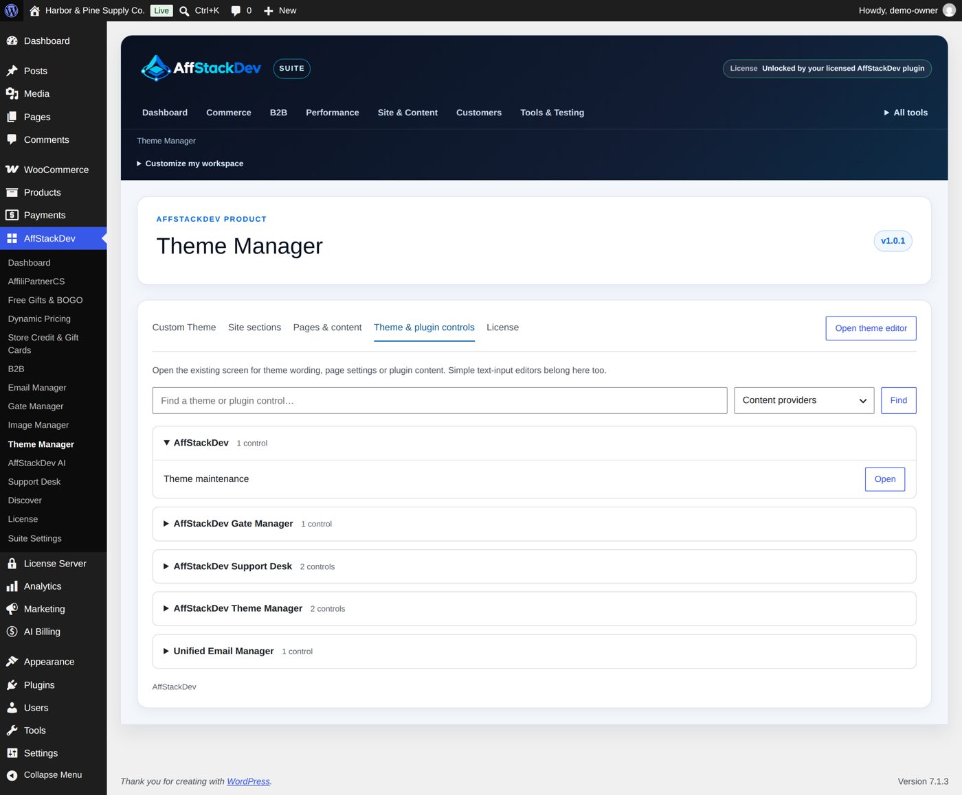 Theme & plugin controls